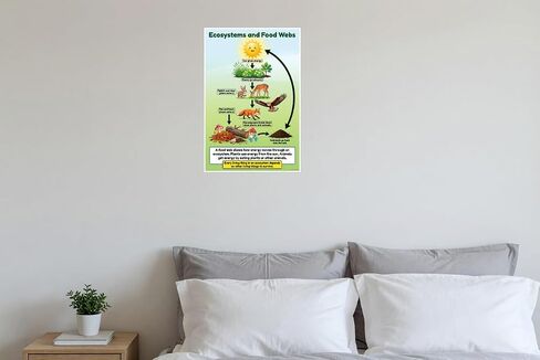 Ecosystems and Food Webs Educational Science Diagram 12x18 US Made Poster in Saudi Arabia