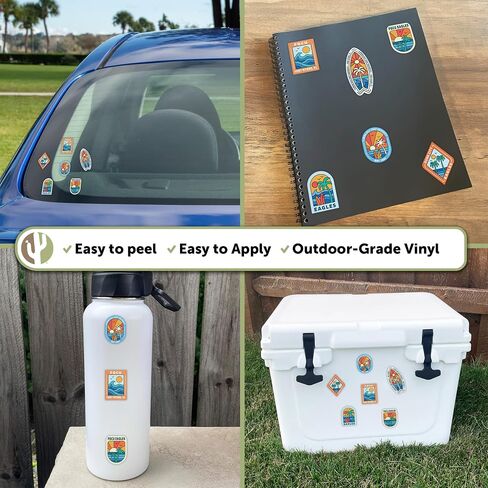 Desert Cactus Florida Gulf Coast University Sticker FGCU Eagles Vinyl Decals Laptop Water Bottle Car Scrapbook T2 (Type 2-Surfing) in Kuwait