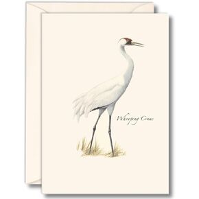 Earth Sky + Water - Whooping Crane Notecard Set - 8 Blank Cards with Envelopes