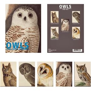 Boxed Set of 15 Wildlife Note Cards with Envelopes (Audubon Aviary)