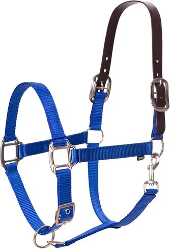 Equinavia Loki Adustable Breakaway Horse Halter in Kuwait