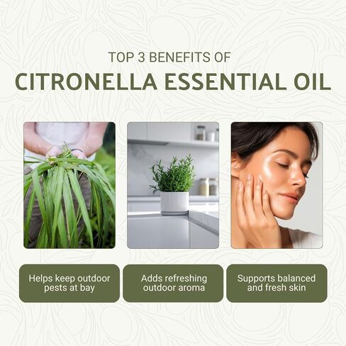 زيت Citronella الأساسي - مباشرة من جافا المركزية ، إندونيسيا - الزيت الأساسي النقي للناشر والعلاج العطري | 100 ٪ درجة علاجية نقية (8 أوقية) in Kuwait