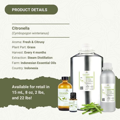 زيت Citronella الأساسي - مباشرة من جافا المركزية ، إندونيسيا - الزيت الأساسي النقي للناشر والعلاج العطري | 100 ٪ درجة علاجية نقية (8 أوقية) in Kuwait