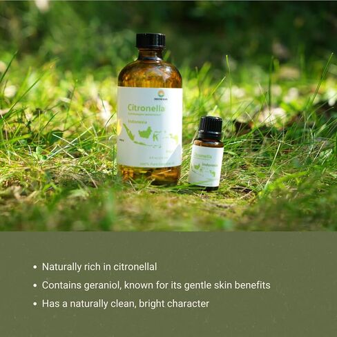 زيت Citronella الأساسي - مباشرة من جافا المركزية ، إندونيسيا - الزيت الأساسي النقي للناشر والعلاج العطري | 100 ٪ درجة علاجية نقية (8 أوقية) in Kuwait