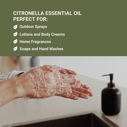 زيت Citronella الأساسي - مباشرة من جافا المركزية ، إندونيسيا - الزيت الأساسي النقي للناشر والعلاج العطري | 100 ٪ درجة علاجية نقية (8 أوقية) in Kuwait