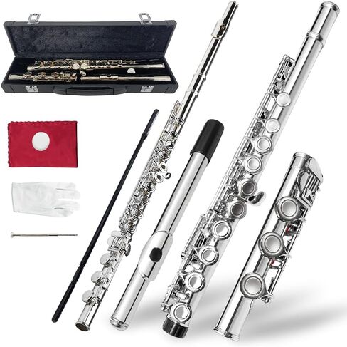 16-Key Flute, C Flute Instrument Closed Holes for Beginners, with Includes Case, Cleaning Kit, and Gloves (Silver) in Kuwait