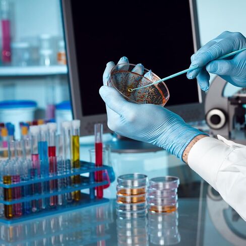 PATIKIL 26 Wells Tube Rack، 2 قطعة رف قارورة طبقة واحدة متعددة الوظائف حامل أنبوب الطرد المركزي لأنابيب Microcentrifuge 0.2/0.5/1.5/2/5 مل، أزرق in Kuwait