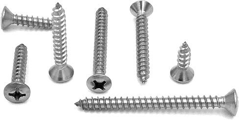 #12 براغي الصفائح المعدنية ذات الرأس البيضاوي من فيليبس 18-8 SS (100، #12 x 1-3/4") in Kuwait