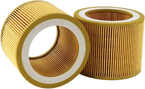 2 Pcs 88171913 1613900100 6211473900 TFLOSPR Air Filter Compatible and suitable Air Compressor Replacement Parts 13294374 C1140 6211-4739-00 1613-9001-00 in Kuwait