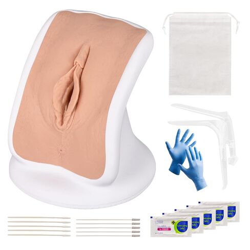 Pelvic Health Model, Gynecological Examination Vulva Anatomical Model for Demonstration, Vaginal Training Model for Science Education in Kuwait