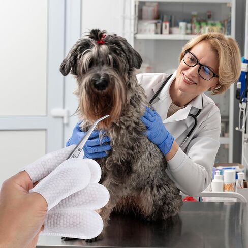 100Pcs Cotton Finger Cots Dog Ear Wipes for Pet Fingers Gloves for Nails Disposable Fingers Covers Ear Cleaning Cloth Finger Cots for Nails Dog Cat Teeth Cleaning Grooming Nail Trimming Precise Tasks in Kuwait