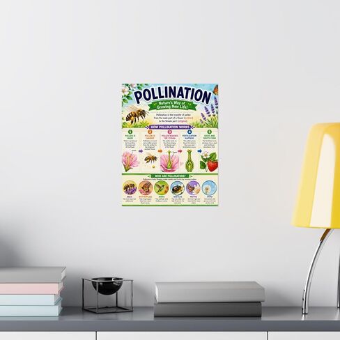 Pollination Educational Chart Poster Bee & Flower Science Wall Art in Kuwait