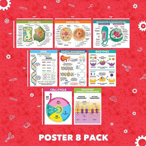 Sproutbrite 8 Pack 12" x 16" Educational Plant Cells & Human Body Science Posters for Classroom Biology & Life Science Charts and Wall Decor for Pre, Elementary, Middle & Homeschool - Covers Essential Biology and Life Science Concepts for Students in Kuwait