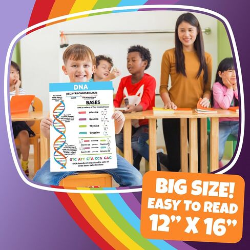 Sproutbrite 8 Pack 12" x 16" Educational Plant Cells & Human Body Science Posters for Classroom Biology & Life Science Charts and Wall Decor for Pre, Elementary, Middle & Homeschool - Covers Essential Biology and Life Science Concepts for Students in Kuwait