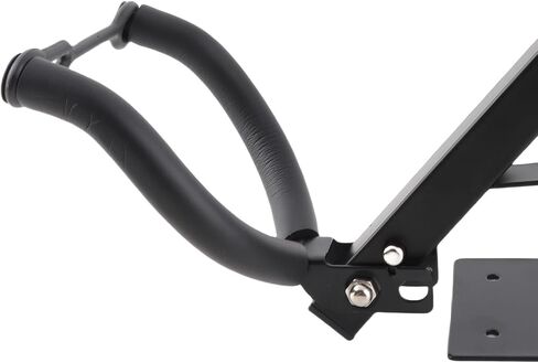 CHICIRIS Alto Tenor Saxophone Wall Mount Stand, Sturdy Metal Wall Mount Holder with Adjustable Direction and Sponge Protection for Alto Tenor Saxophone Display in Studio Bedroom in Kuwait