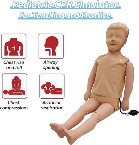 JNMFTD الأطفال CPR Manikins مجموعة تدريب الدمية، كامل الجسم CPR التدريب على الإسعافات الأولية محاكاة عارضة أزياء الملحقات الطبية المهنية للفصول الدراسية أو مراكز البحوث ممارسة التمريض رعاية المرضى in Kuwait