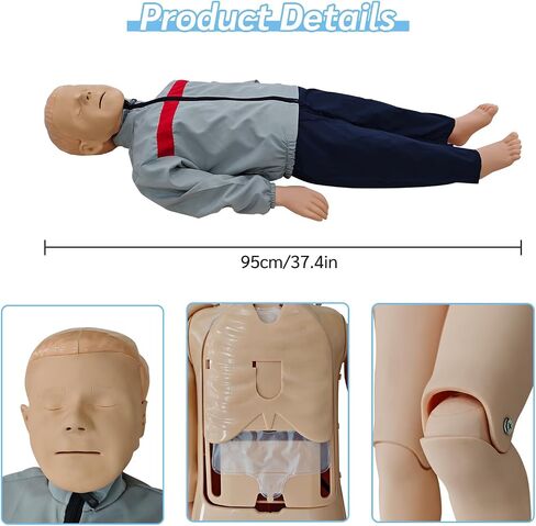 JNMFTD الأطفال CPR Manikins مجموعة تدريب الدمية، كامل الجسم CPR التدريب على الإسعافات الأولية محاكاة عارضة أزياء الملحقات الطبية المهنية للفصول الدراسية أو مراكز البحوث ممارسة التمريض رعاية المرضى in Kuwait