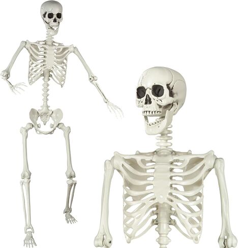 5.4ft هيكل عظمي للهالوين بالحجم الطبيعي هيكل عظمي قابل للوضع واقعي لكامل الجسم عظام بشرية من البلاستيك لتزيين الهالوين in Kuwait