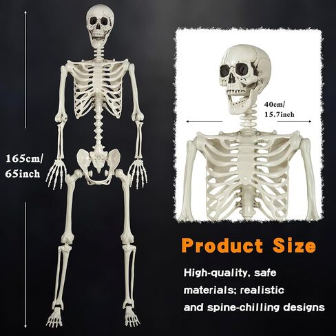 5.4ft هيكل عظمي للهالوين بالحجم الطبيعي هيكل عظمي قابل للوضع واقعي لكامل الجسم عظام بشرية من البلاستيك لتزيين الهالوين in Kuwait
