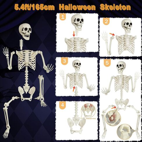 5.4ft هيكل عظمي للهالوين بالحجم الطبيعي هيكل عظمي قابل للوضع واقعي لكامل الجسم عظام بشرية من البلاستيك لتزيين الهالوين in Kuwait