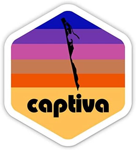 Squiddy Captiva Island Florida - ملصق من الفينيل للهاتف والكمبيوتر المحمول وزجاجة المياه (ارتفاع 2.5 بوصة) in Kuwait
