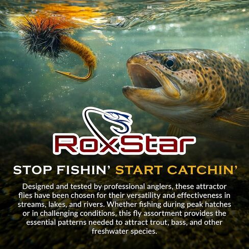 RoxStar Fly Shop Emerger Hatch Pack | 14 ذبابة Emerger Fly المميزة + عضوية لمدة عام في Trout Unlimited وRoxStar Club | ثبت ذبابة صيد الذباب! | مقيد في المنزل - لا يتم الاستعانة بمصادر خارجية أبدًا in Kuwait