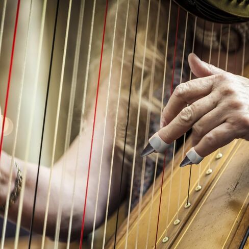 FRCOLOR مجموعتان من أغطية حماية الأظافر Guzheng من السيليكون لحماية أظافر الأصابع واليد اليمنى اليسرى للبالغين وإكسسوارات ممارسة اللعب Guzheng in Kuwait