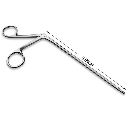 Alligator Forceps 8" Surgical Veterinary Instruments in Kuwait