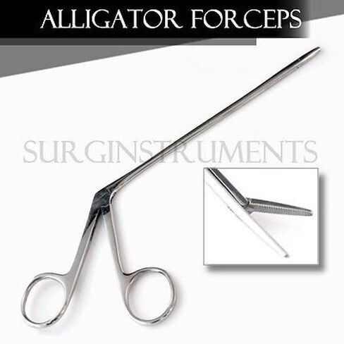 Alligator Forceps 8" Surgical Veterinary Instruments in Kuwait