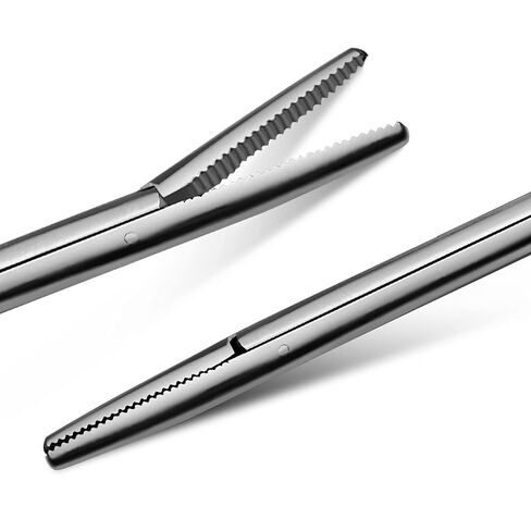 Alligator Forceps 8" Surgical Veterinary Instruments in Kuwait