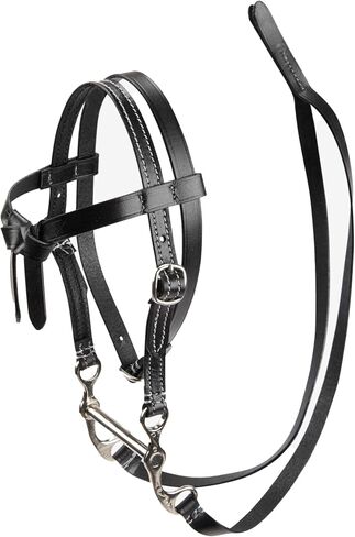 Lemieux Toy Pones Western Bridle - اللجام الجلدي الفعل - لعبة تعليمية - الأعمار 3+ - أسود in Kuwait