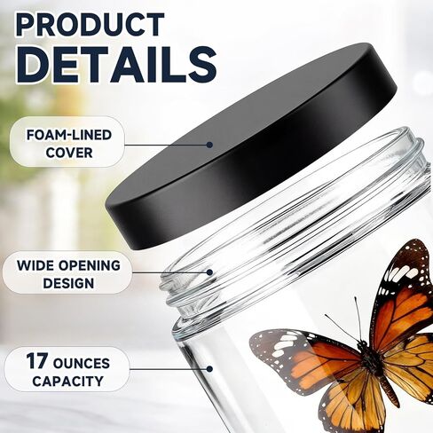 Domensi 2 Pack Large Specimen Jars, 17oz Capacity, Sample Jars with Lids, Soda-Lime Glass, Wide Opening with Foam Lined Cap, Airtight and Leak-Proof in Kuwait