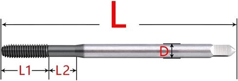 HSSE-PM JP JISExtended 80L 100L Standard Forming Tap Stainless Steel Machine Screw(M1x0.25x80L) in Kuwait