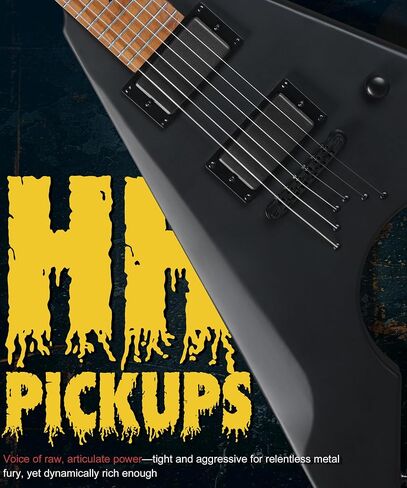 AKLOT Metal V Electric Guitar: HH Pickups, Roasted Maple Neck, Okoume Body, String-Through-Body, Stainless Steel Rounded Ball-End Frets,Beginner Electric Guitar Kit for Adult,Gig Bag,Lesson Book,Black in Kuwait