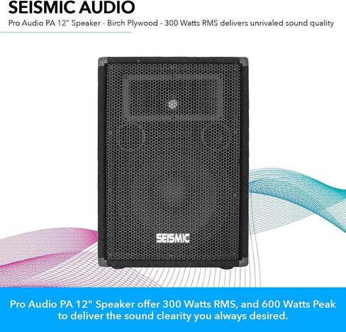 Seismic Audio - FL-12P - Pro Audio PA/DJ 12" Speaker - 100% Birch Plywood - 300 Watts RMS each in Kuwait