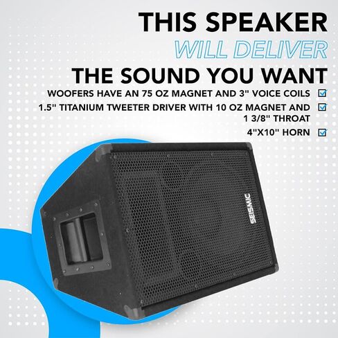 Seismic Audio - FL-12P - Pro Audio PA/DJ 12" Speaker - 100% Birch Plywood - 300 Watts RMS each in Kuwait