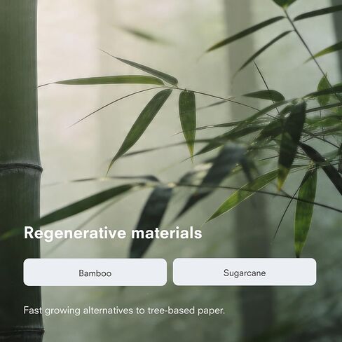 Public Goods Tree-Free Tissues | Bamboo and Sugarcane Facial Tissues | Soft 2-Ply Sheets for Sensitive Skin | Biodegradable, BPA-Free, and Eco-Friendly | 180 Sheets per Box in Kuwait