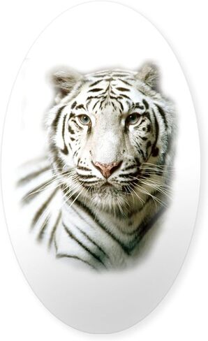 ملصق CafePress White Tiger البيضاوي ملصق بيضاوي ممتص الصدمات للسيارة in Kuwait
