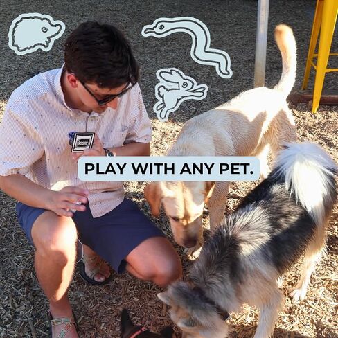 Booze & Pets - a Drinking Game Made by bap.kat | Squishy Dice Included! in Kuwait