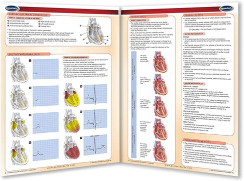 Cardiovascular Physiology - Biology - Medical Quick Reference Guide by Permacharts in Saudi Arabia