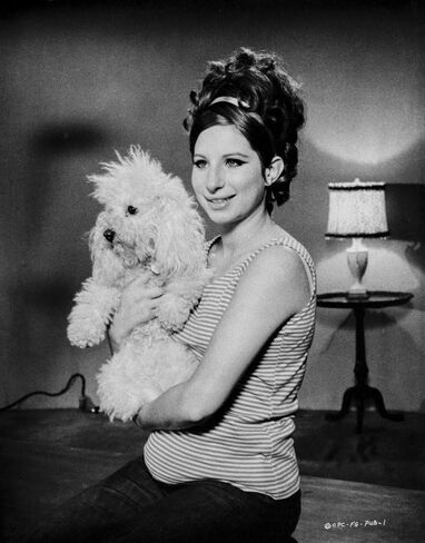 Barbra Streisand Posed With Dog Photo Print (8 x 10) in Kuwait