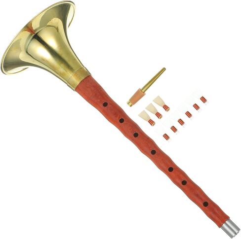 Toyvian Professional Red Sandalwood Suona Instrument D Key with Plastic Reed Ethnic Wind Instrument for Beginners Traditional Chinese Folk Music Practice Random Color in Kuwait