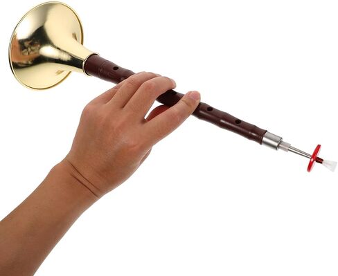 VICASKY Professional Suona Instrument Abs Resin Suona Horn Red Wood and Black Ebony Finish for Beginners Practice and Cultural Classes Portable Wind Instrument Set in Kuwait