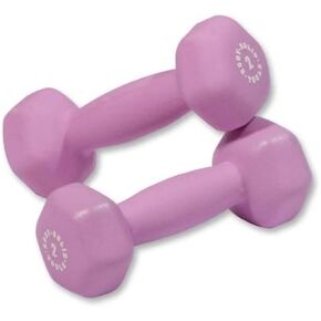 Body-Solid Tools (BSTND2PR) Neoprene Dumbbell for Weight and Aerobic Training, Pilates & Physical Therapy, Hand Weights Set for Women, Free Weights Hex End Dumbbells, Light Purple, 2lbs. Pair