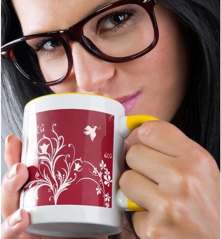 3dRose Floral Pattern in White on a Red Background with Dove and Butterflies. Ceramic Mug, 11-Ounce in Kuwait
