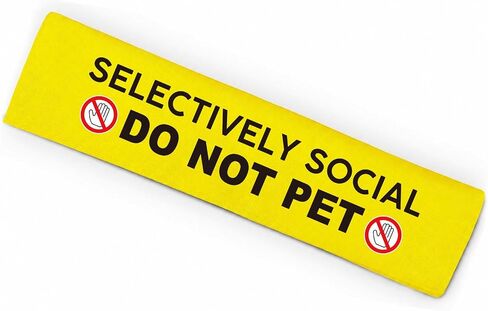Blind Dog Ask Before Petting Pet Leash for Dogs, Funny Dog Leash Wrap for Pet Dog Lovers Owners Gift (Yellow) in Saudi Arabia