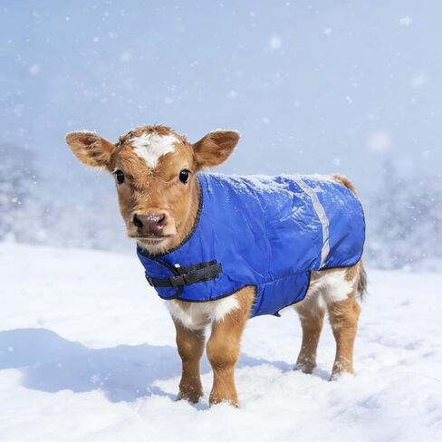 2 Pack Calf Blanket Goat Coat Horse Blanket Thickened Warm Calf Clothing Calf Warm Artifact Calf Cold Clothing Calf Keep Warm Clothing Horse Blanket for Cattle Green in Saudi Arabia