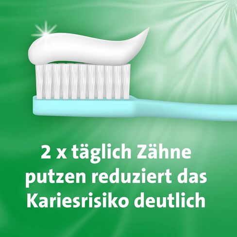 Halazon Fresh Toothpaste 75 ml (2.53 fl oz) – Long-Lasting Fresh Breath Toothpaste – Antibacterial Oral Care with Menthol – Daily Protection – German Oral Care Brand in Saudi Arabia