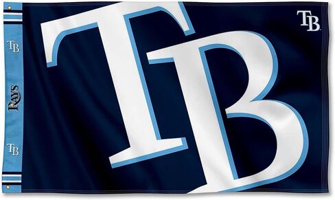 لافتة رأس مطبوعة من WinCraft Tampa Bay Rays مقاس 3×5 in Kuwait