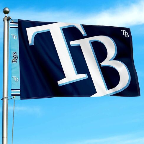 لافتة رأس مطبوعة من WinCraft Tampa Bay Rays مقاس 3×5 in Kuwait